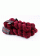 Splatter Dash - Red Wine (SD035)