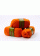 Timbre - Orange (CSA428)